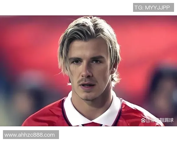 我心中的足球英雄我所崇拜的球星们故事与传奇